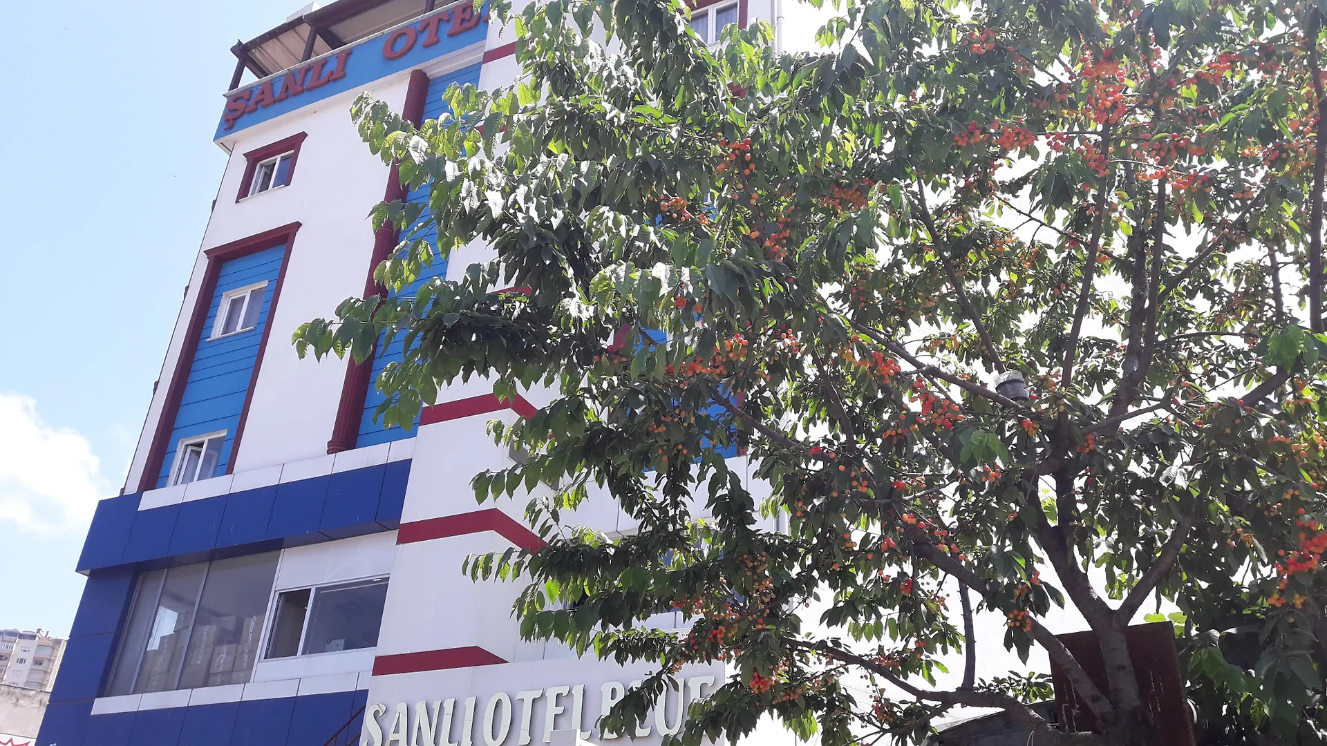 Sanli Hotel Blue Trabzon